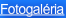 shapeimage_1_link_12