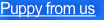 shapeimage_3_link_7
