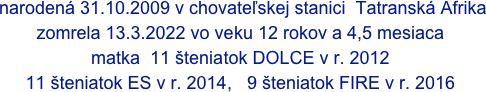  narodená 31.10.2009 v chovateľskej stanici  Tatranská Afrika  zomrela 13.3.2022 vo veku 12 rokov a 4,5 mesiaca
matka  11 šteniatok DOLCE v r. 2012  
11 šteniatok ES v r. 2014,   9 šteniatok FIRE v r. 2016                 